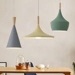 Nordic modern Ceiling lamp